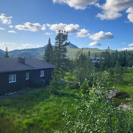 Sunny With Views Of Gaustaknea Semesterbostad